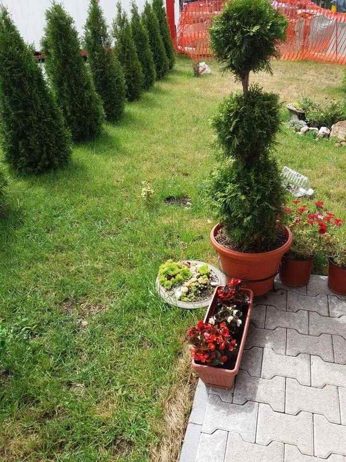 Lufi Penthouse Apartment Zlatibor Bagian luar foto